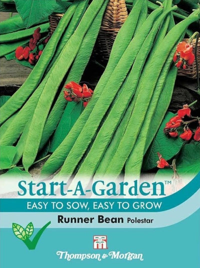 Runner Bean Polestar - The Pavilion