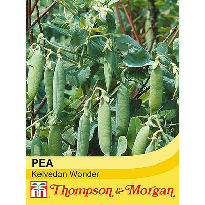 Pea Kelvedon Wonder - The Pavilion