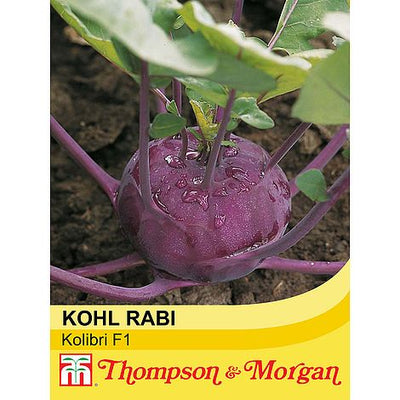 Kohl Rabi Kolibri F1 Hybrid - The Pavilion