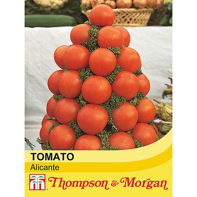 Tomato Alicante - The Pavilion