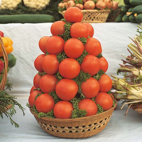 Tomato Alicante - The Pavilion