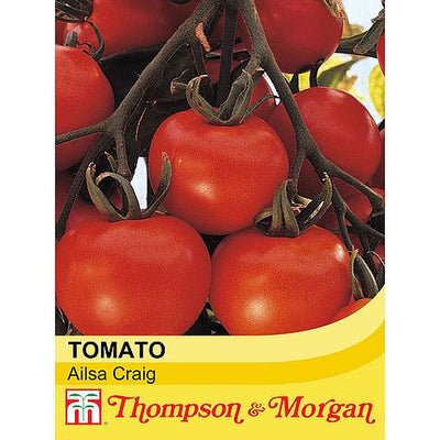 Tomato Ailsa Craig - The Pavilion