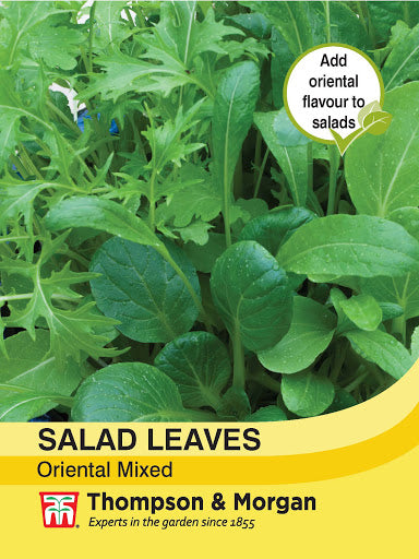 Salad Leaves - Oriental Mixed - The Pavilion