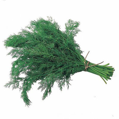 Herb Bouquet Dill - The Pavilion