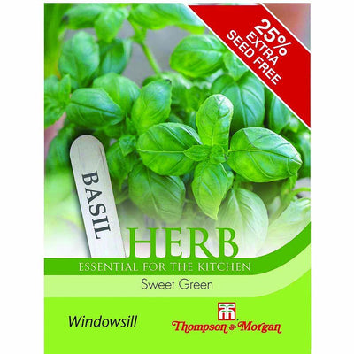 Herb Basil Sweet Green - The Pavilion