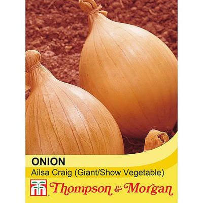 Onion Ailsa Craig - The Pavilion
