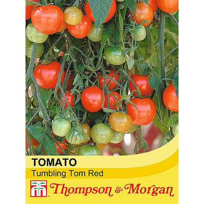 Tomato Tumbling Tom Red - The Pavilion