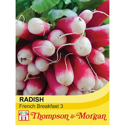 Radish French Breakfast 3 - The Pavilion