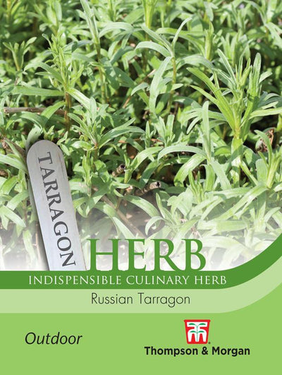 Herb Russian Tarragon - The Pavilion