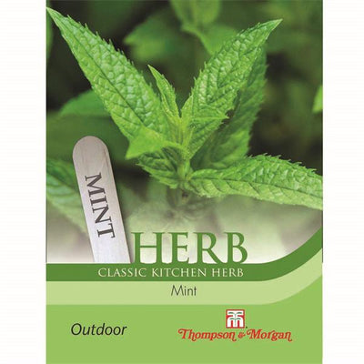 Herb Mint (Peppermint) - The Pavilion