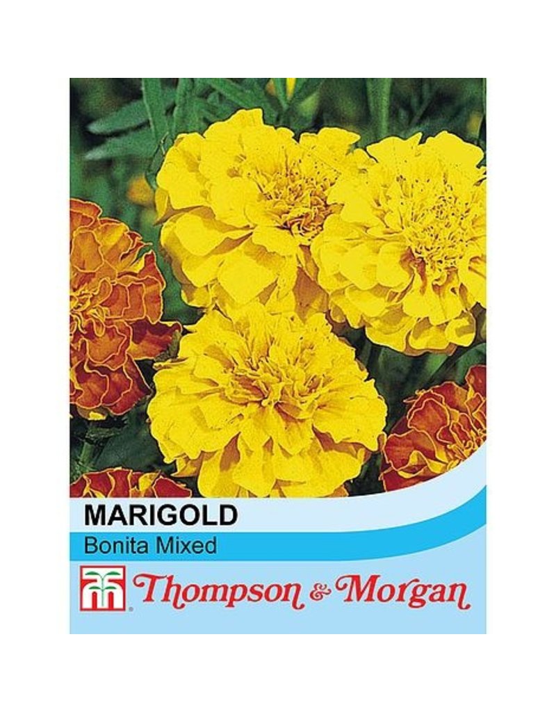 Marigold Bonita Mixed (French) - The Pavilion