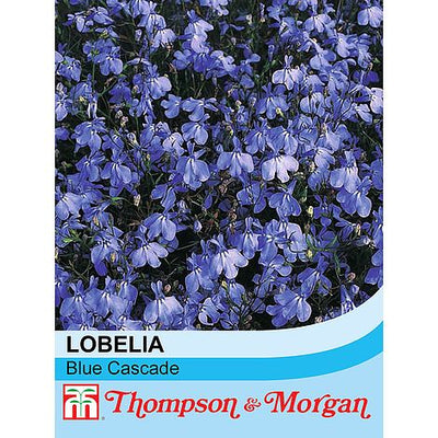 Lobelia (Trailing) Blue Cascade - The Pavilion