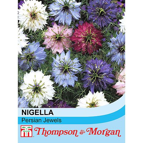 Nigella Persian Jewels Mixed - The Pavilion