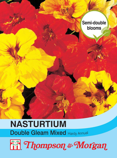 Nasturtium Double Gleam Mixed - The Pavilion