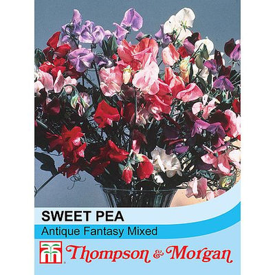 Sweet Pea Antique Fantasy Mixed - The Pavilion