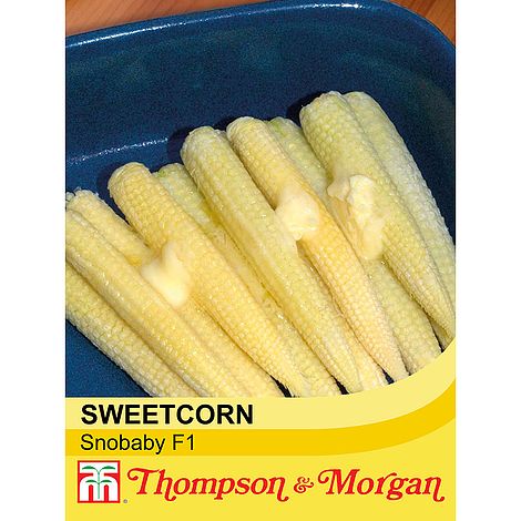 Sweetcorn Snobaby - The Pavilion
