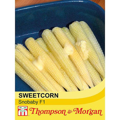 Sweetcorn Snobaby - The Pavilion