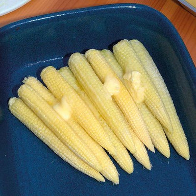 Sweetcorn Snobaby - The Pavilion