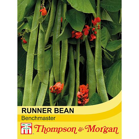 Runner Bean Benchmaster - The Pavilion