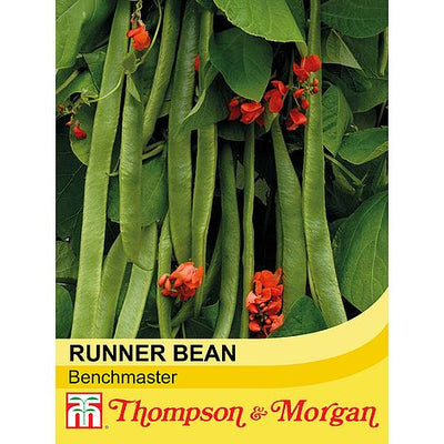 Runner Bean Benchmaster - The Pavilion