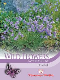 Wild Flower Harebell - The Pavilion