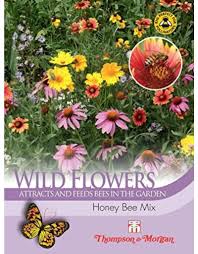 Wild Flower Honey Bee Flower Mix - The Pavilion