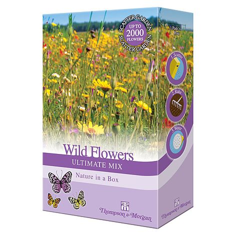 Wild Flower Ultimate Mix - The Pavilion