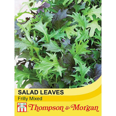 Salad Leaves - Frilly Mix - The Pavilion