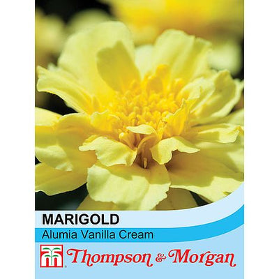 Marigold Alumia Vanilla Cream (French) - The Pavilion