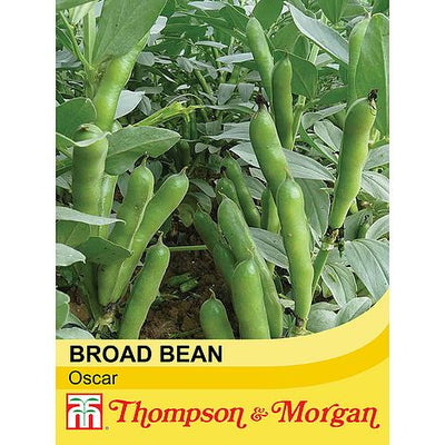 Broad Bean Oscar - The Pavilion