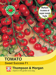 Tomato Sweet Success - The Pavilion