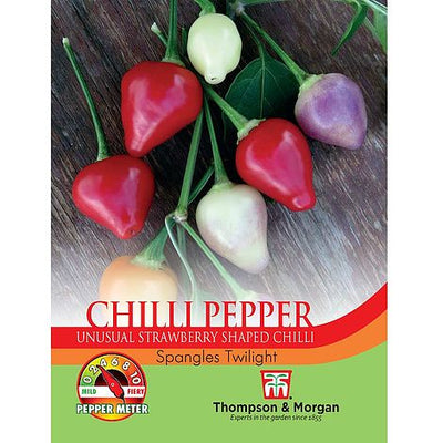 Pepper Chilli Spangles Twilight - The Pavilion
