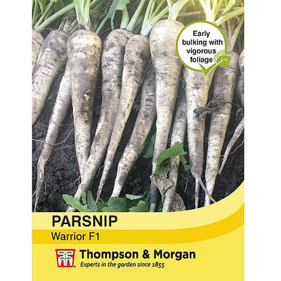 Parsnip Warrior F1 Hybrid - The Pavilion