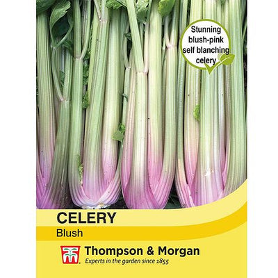 Celery Self-Blanching Blush - The Pavilion