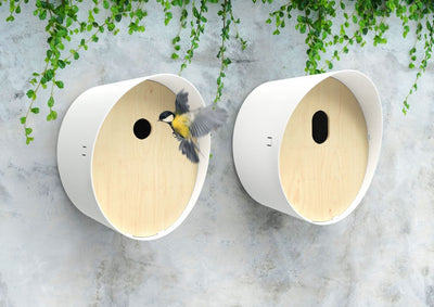 Bird house 2 Oval white