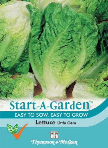 Lettuce Little Gem.