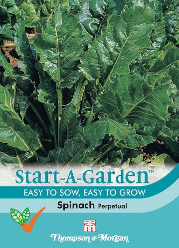 Spinach Perpetual.