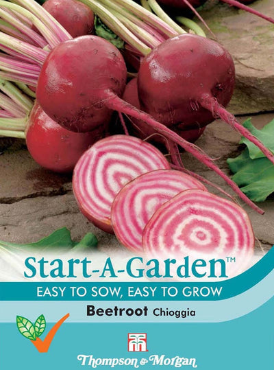 Beetroot Chioggia.