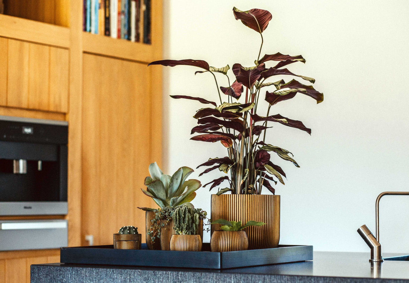 Groove Indoor Plant Pot L (23x21cm) Black/Gold