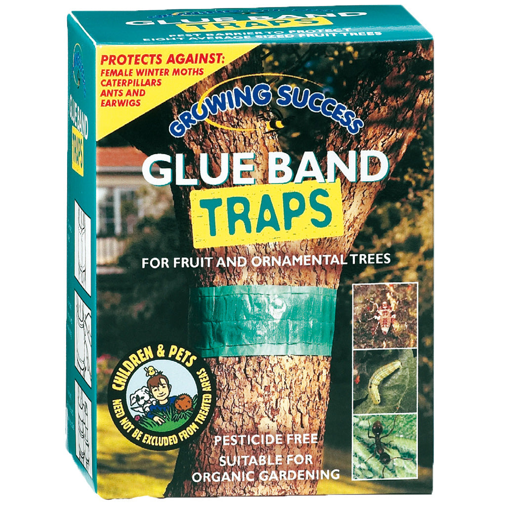 GS Glue Band Traps 1.75M