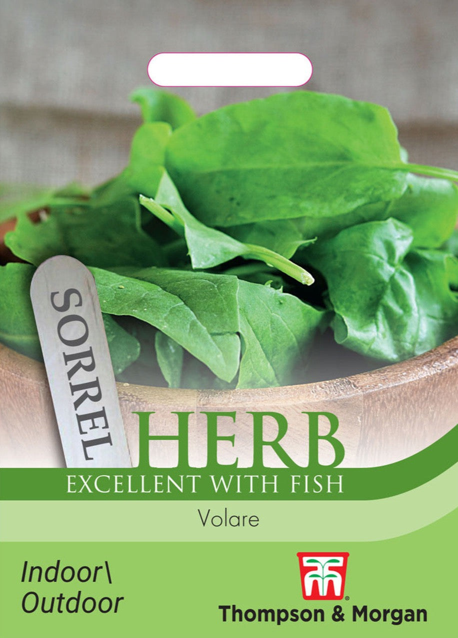 Herb Sorrel Volare