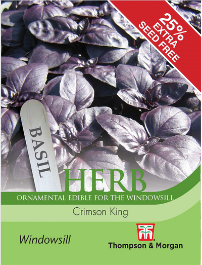 Herb Basil Crimson King 25 Percent Extra