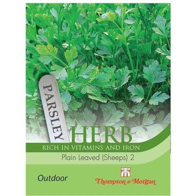 Herb Parsley Plain Leaved 2