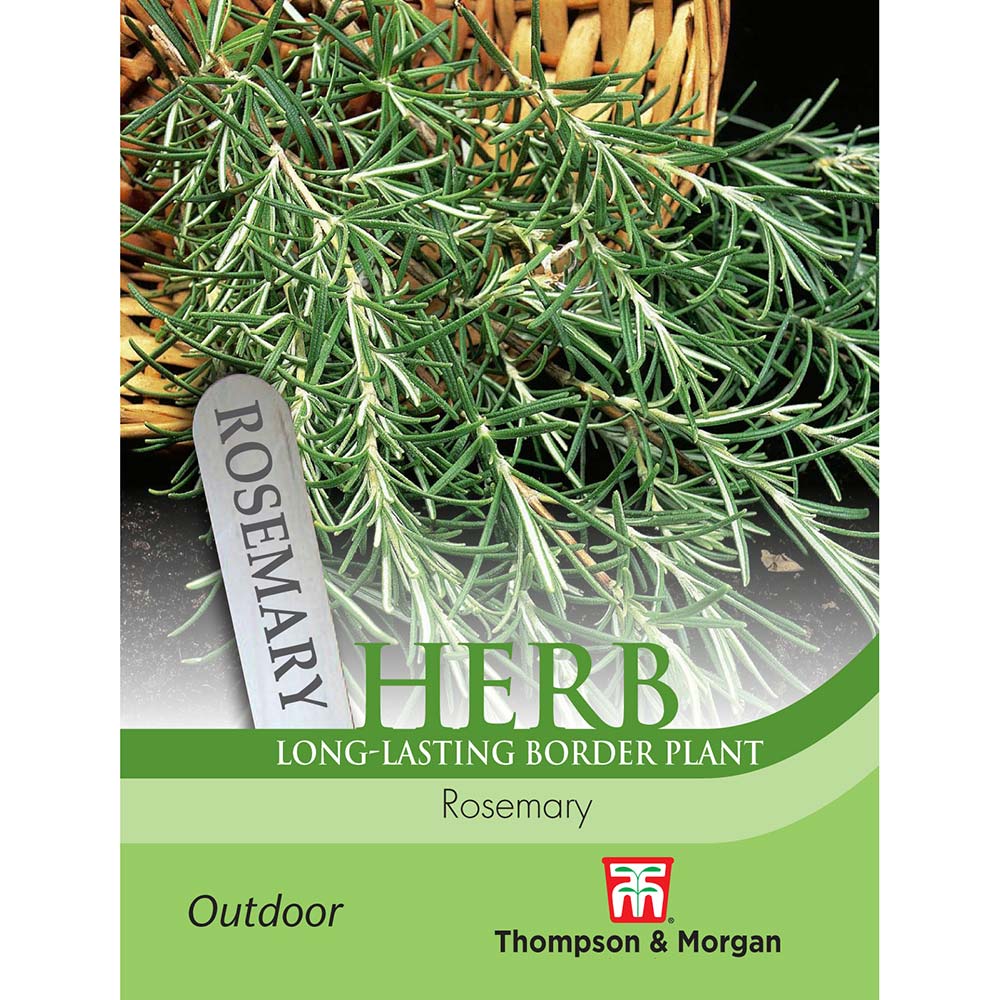 Herb Rosemary