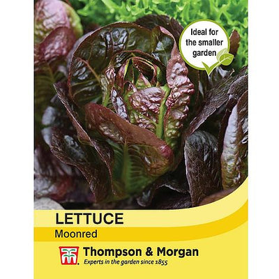 Lettuce Moonred - The Pavilion
