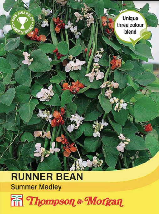Runner Bean Summer Medley - The Pavilion