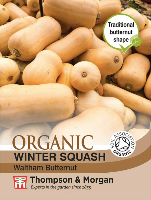 Squash Waltham Butternut (winter) (Organic) - The Pavilion