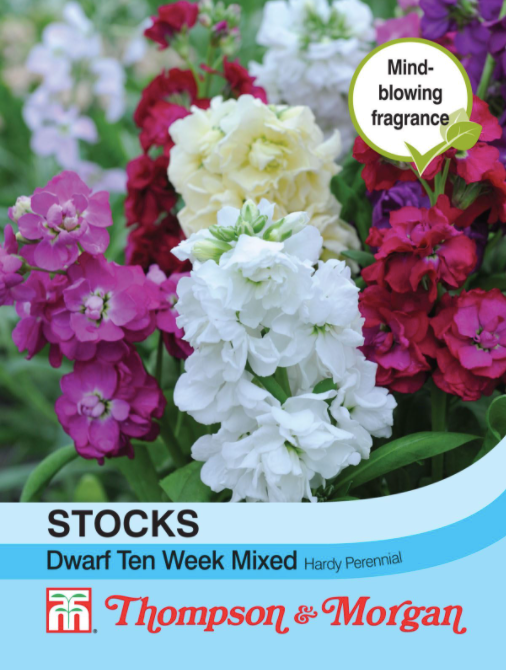 Stocks Dwarf Ten Week Mixed - The Pavilion