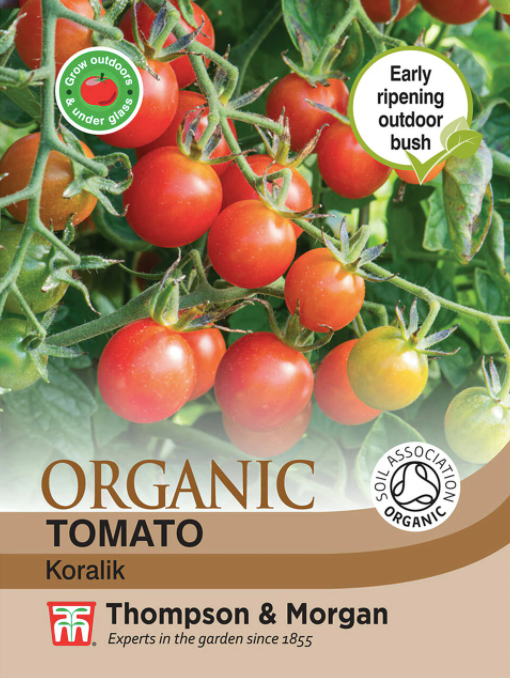 Tomato Koralik (Organic) - The Pavilion