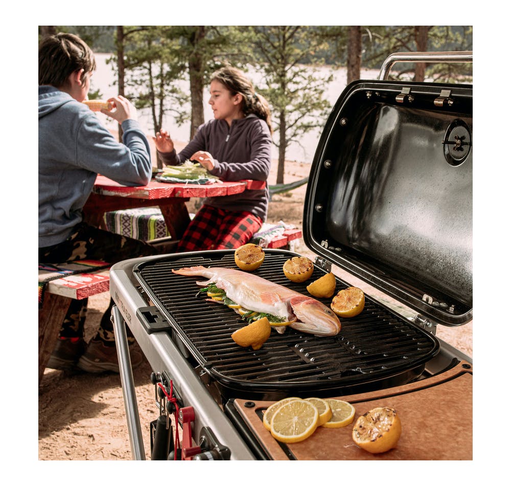 Weber Traveler LP BLK